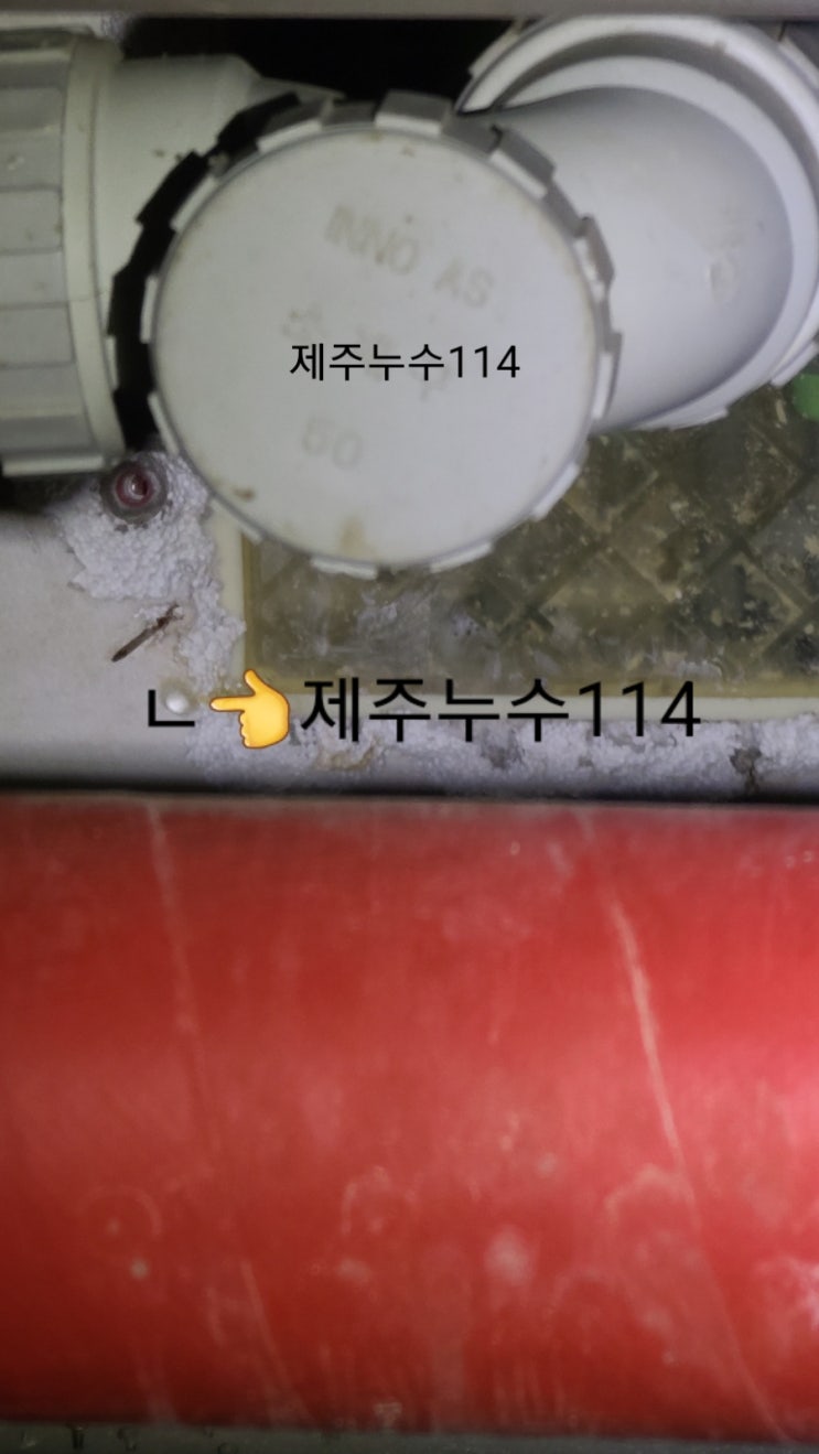  제주누수114 알수 없는 물이 둑둑
