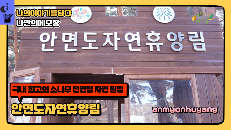  태안 안면도 가볼 만한 곳 국내 최고의 소나무 천연림 자연 힐링 안면도자연휴양림