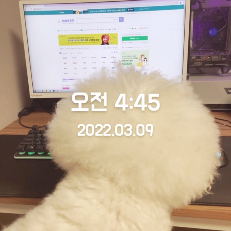  미라클모닝 9일째 #제20대 대통령 선거일