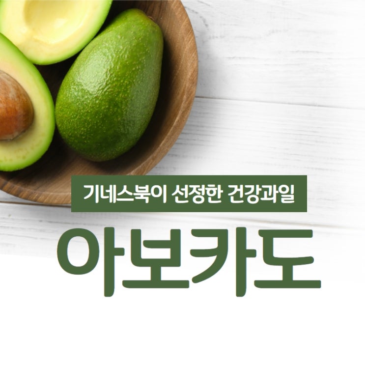  아보카도 아보카도오일 효능 ft. 숲속의 버터