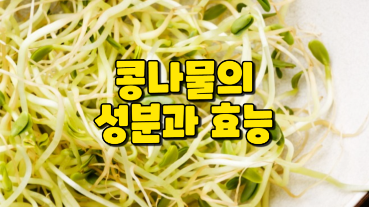  콩나물의 성분과 효능