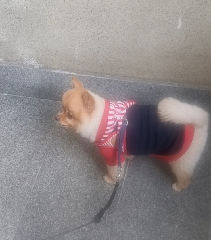  오늘도 신난 사랑이