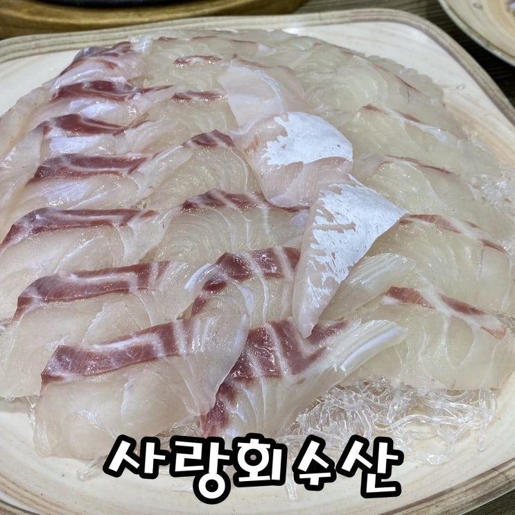 [노원 맛집] 노원역 횟집 사랑회수산