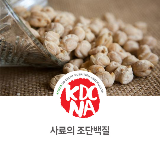 강아지 사료 조단백질 알아보기 [한국반려동물영양협회/펫푸드학원/최수연펫푸드아카데미/애견수제간식창업/수원/성남/부평/시흥/광명_983]