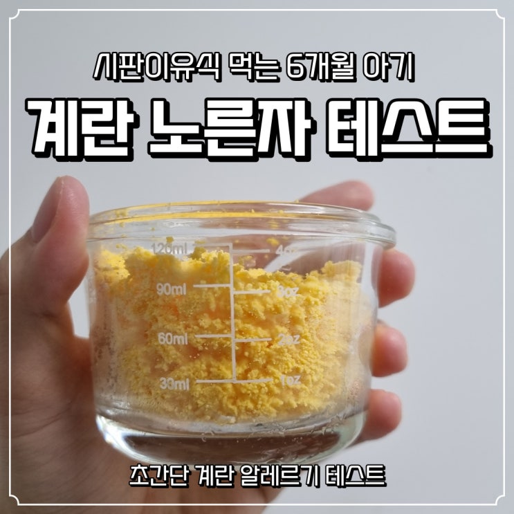  6개월 아기:: 초간단 계란 알레르기 테스트 (계란먹는 시기, 정량,알러지 증상)