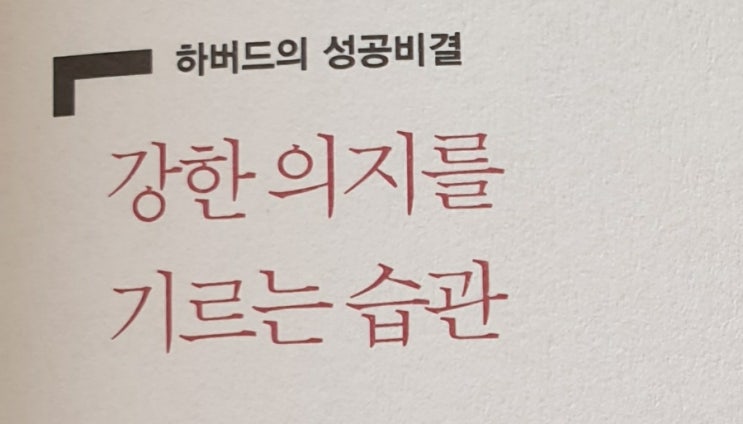  하버드 새벽 4시반/ 하버드의 성공비결 -강한 의지를 기르는 습관
