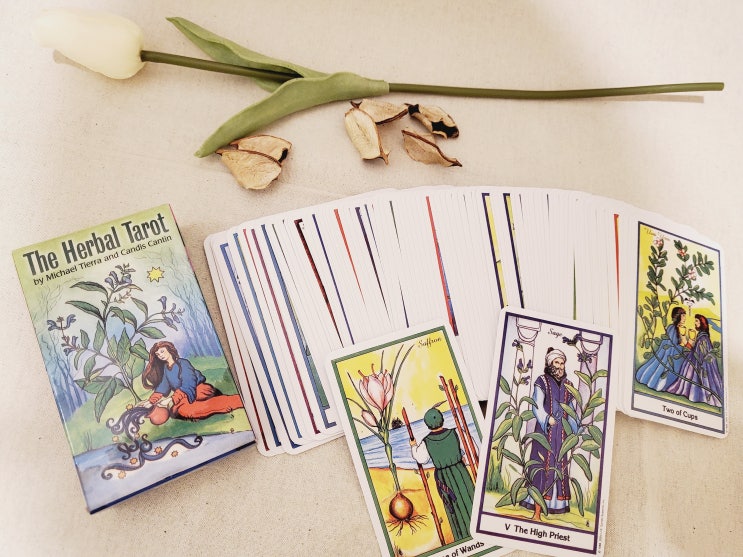 타로카드 / 약초 타로표 허브 타로카드 (The Herbal Tarot) 타로카드 / 약초 타로표 허브 타로카드 (The Herbal Tarot)