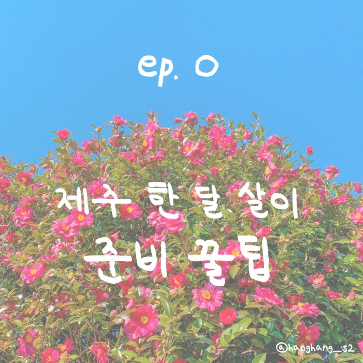  제주 한 달 살이 Ep.0 - 한 달 살이 준비 꿀팁 대방출 (제주 한달살이 준비, 제주 굿서비스 차량 탁송 이용 후기, 에어비엔비 숙소 제주 협재민박 예약)