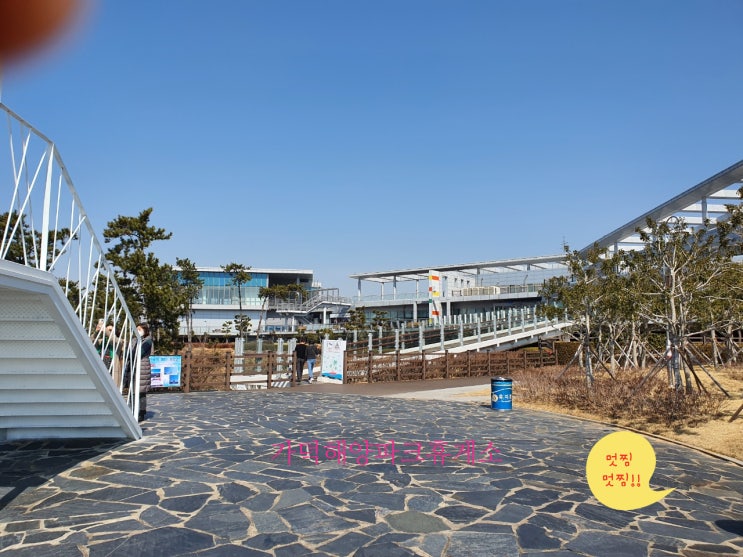  삼성거제조선소 내 일학습병행 현지심사_봄나들이 기분