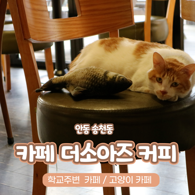 더소아즈커피 사진 1