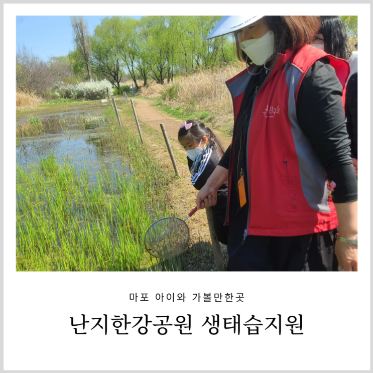 난지한강공원 생태습지원 수변생태학습센터 유아숲체험
