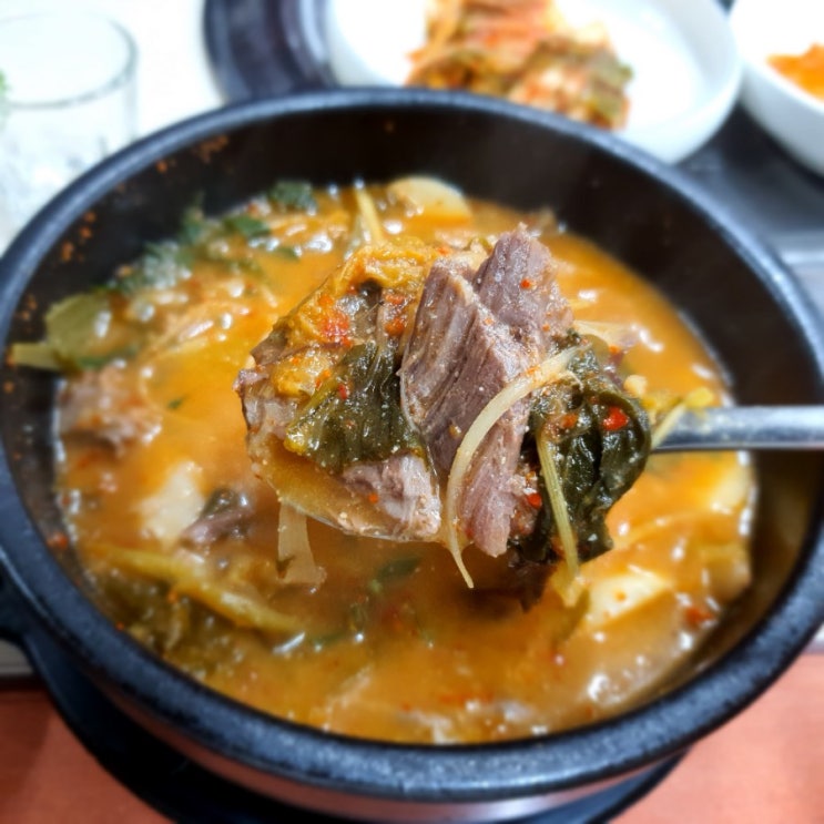  칠곡 염소탕맛집 보양식 원기회복