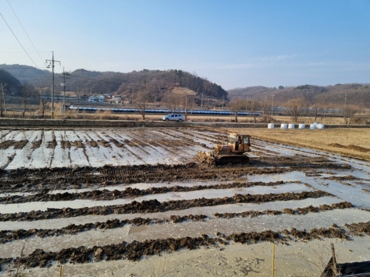  고추밭 논으로 만들기 밭이 논으로 불도저작업 고추농사 논농사