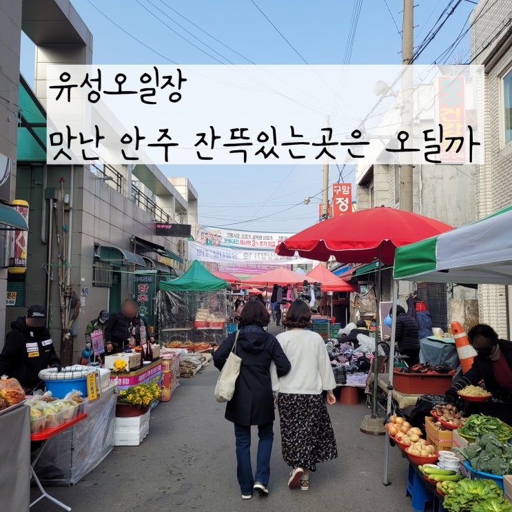  대전 유성오일장 언제? 시장 풍경과 유성낮술 장소 추천