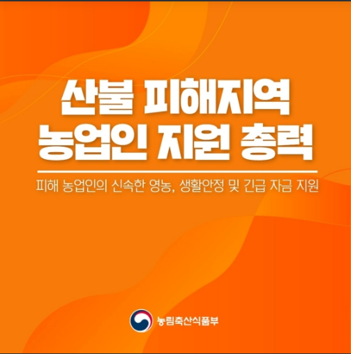 산불 피해지역 농업인 긴급 지원대책_농림축산식품부 산불 피해지역 농업인 긴급 지원대책_농림축산식품부