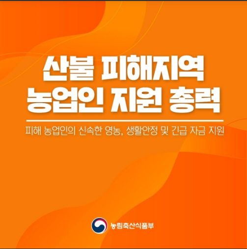 산불 피해지역 농업인 긴급 지원대책_농림축산식품부