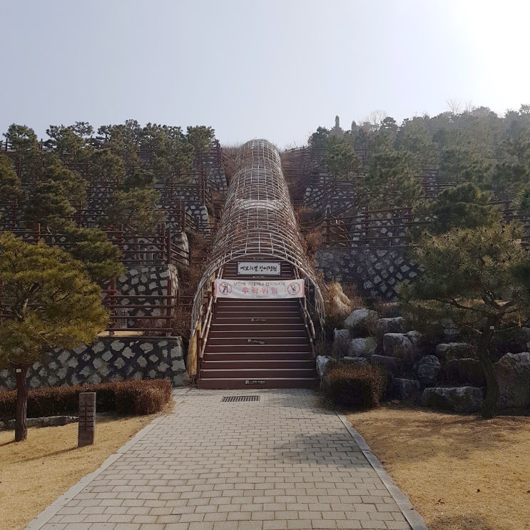 서울시립 용미리 추모공원 방문 & 대통령 선거 투표함!