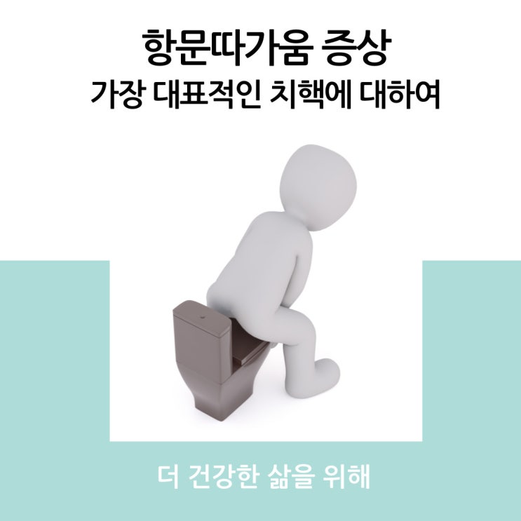  항문따가움 증상 가장 대표적인 치핵에 대하여