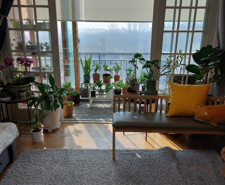 <에세이> 봄맞이 대청소 초록이들 자리바꿈 그리고 마음자리 <에세이> 봄맞이 대청소 초록이들 자리바꿈 그리고 마음자리