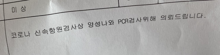  코로나 양성 