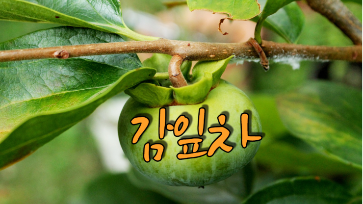  감잎차