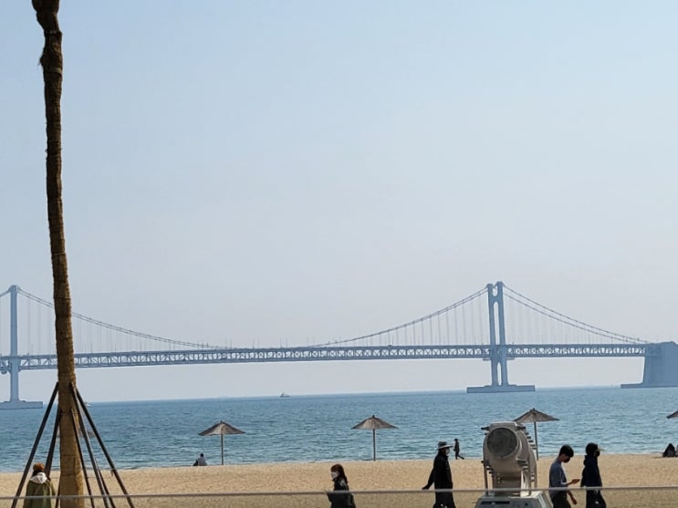  광안리맛집 뷰보면서 커피말고 돼지국밥, 족발 오향맛족