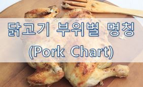 [영어 상식] 닭고기 부위별 영어 명칭 (Chicken Charts)