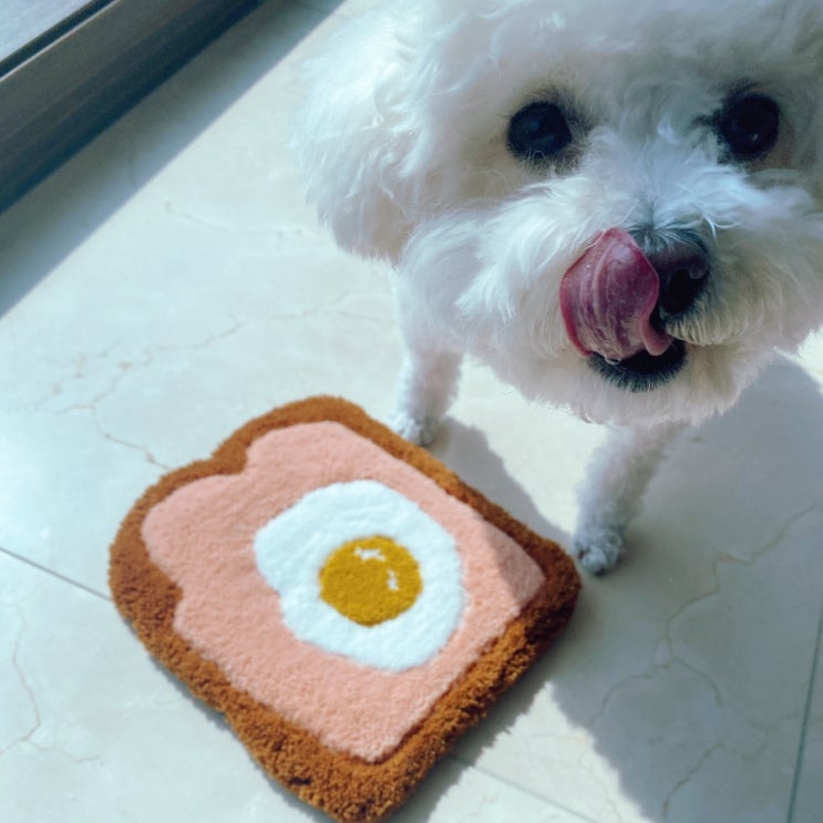  브런치로 딱, 에그토스트_터프팅 러그