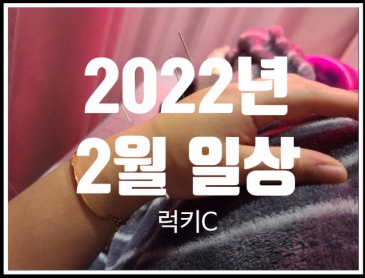  도란도란 일상이야기 - 2022년 2월