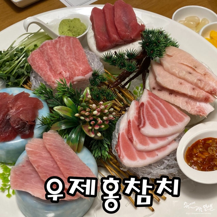  [강남 참치 맛집] 논현역 맛집 우제홍참치