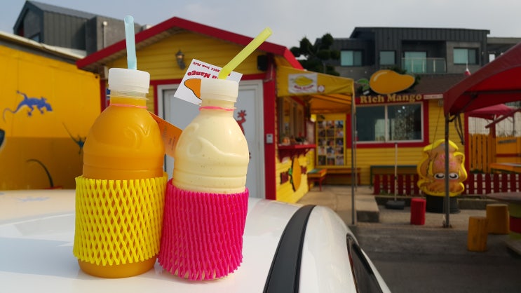[리치망고 (Rich Mango) 애월본점] 망고 쉐이크는 진리