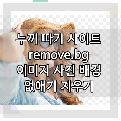  이미지 사진 배경 제거 없애기 지우기 누끼따기 사이트 remove.bg