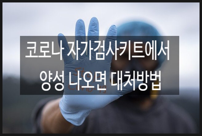  코로나 자가검사키트에서 양성 나오면 대처방법?_3월 14일 이전 포스팅