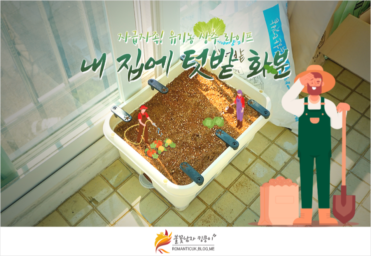  아파트 베란다 텃밭 가꾸기! 내 집에 텃밭 화분.