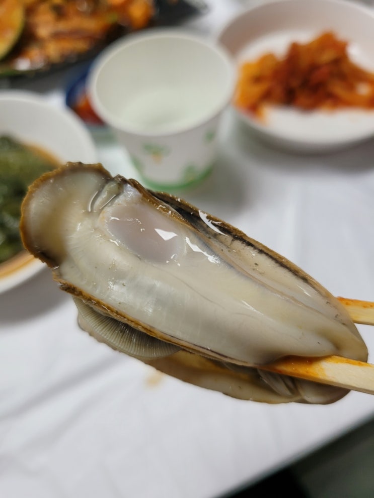  전남 무안 뻘낙지 거리 생굴도 함께 힘이여 솟아라!