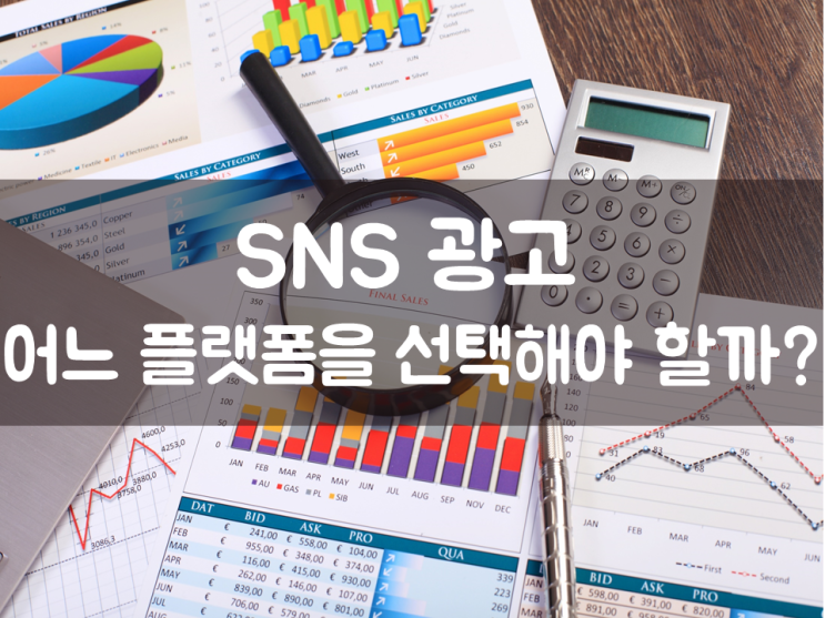  SNS 광고, 어느 플랫폼을 선택해야 할까?