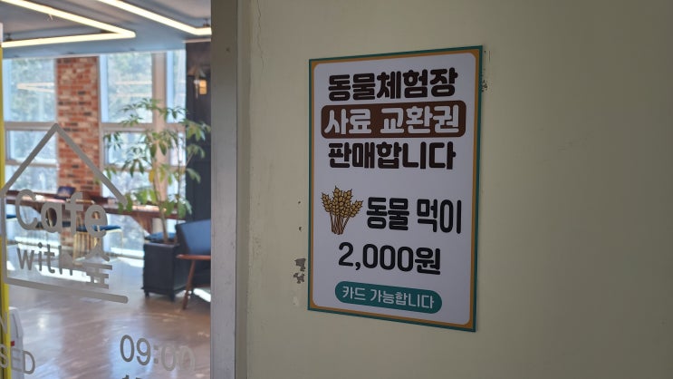  거제 숲소리 공원 아이와 놀기 좋았던 양떼목장