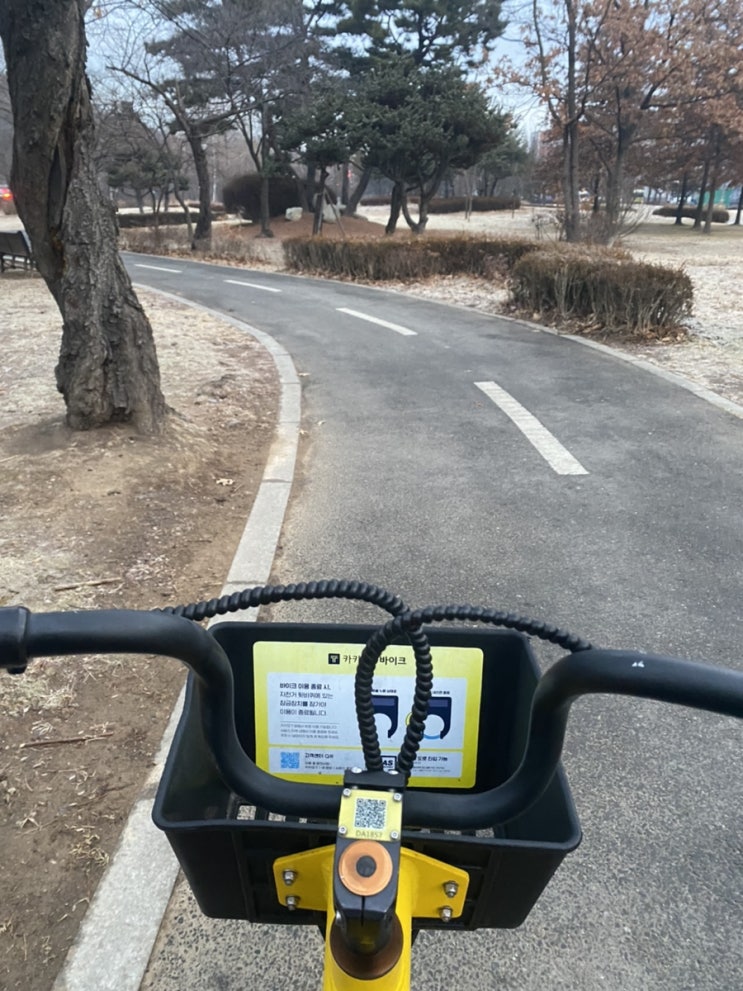  산책 코스