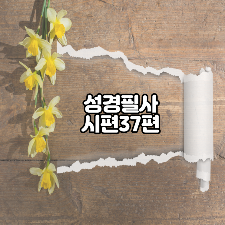  시편 37편 성경필사