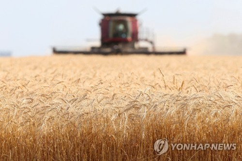  밀 선물가 사상 최고치... 식량위기 우려 고조