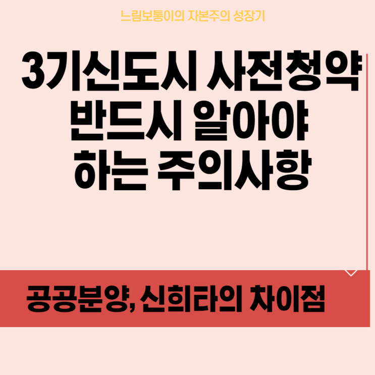 <3기 신도시의 정석> 공공분양 신혼부부 특공, 신혼희망타운, 민간 분양 사전청약 차이점, 부적격 당하지 않으려면 반드시 알아야하는 주의사항