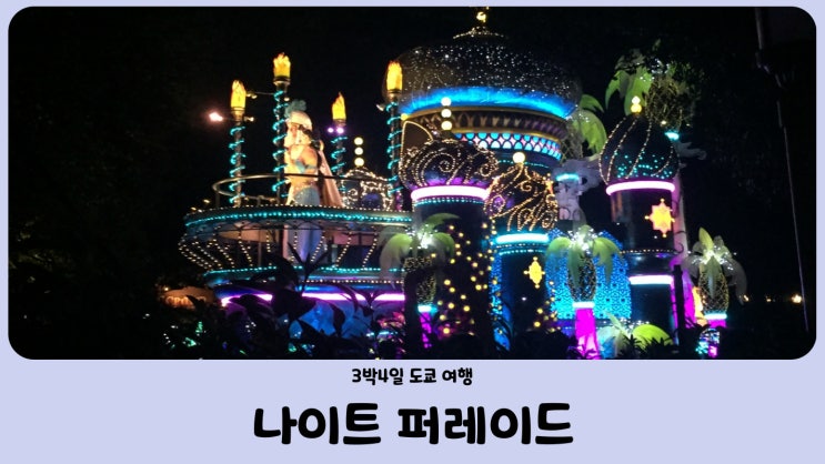  도쿄 디즈니랜드의 꽃 야간 퍼레이드