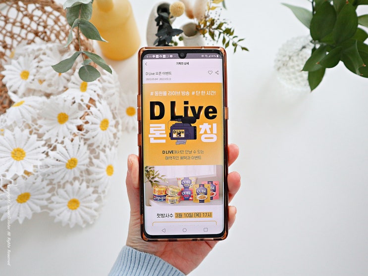  동원몰 라이브방송 D Live 론칭!  3월 10일 17시 첫라방 이벤트 참여해요.