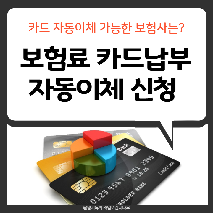 통신판매업면허세, 국세, 지방세, 범칙금, 사회보험료 카드를 납부해주세요 - 오피스 박스