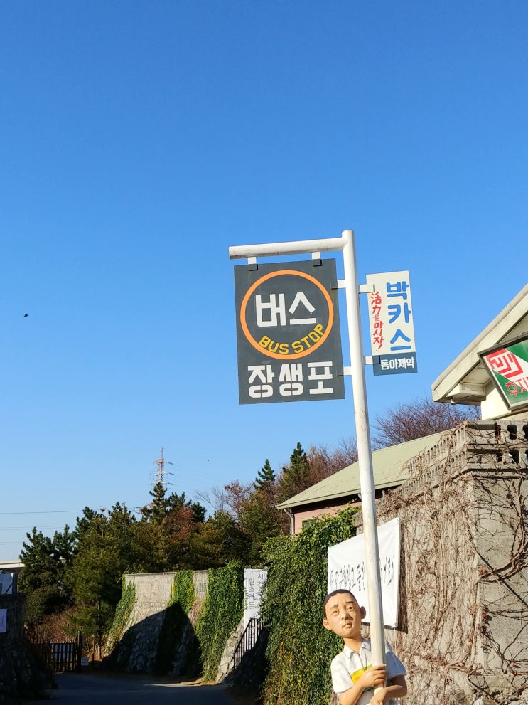  국내 뚜벅이 울산 2박3일 여행 가볼만한곳