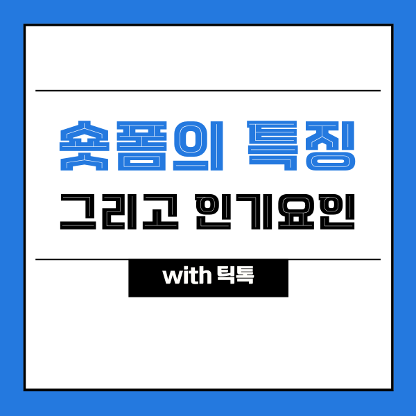  숏폼의 특징과 인기요인 (with 틱톡)