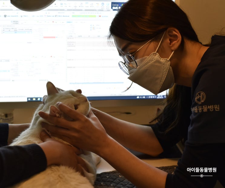  제 반려견 보리처럼 진료하겠습니다. 아이들 익산 동물병원 원장 김정은 수의사