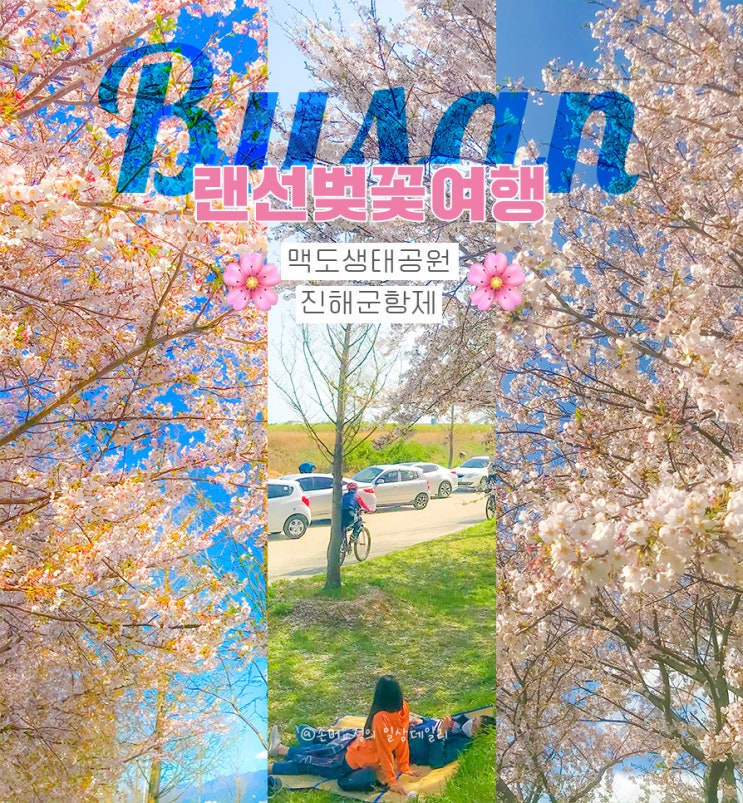  [부산벚꽃스냅사진명소모음zip]벚꽃터널이 유명한 맥도벚꽃축제 ~ 진해군항제 #로망스다리 #경화역 그리고 벚꽃개화시기(with 코로나로 인한 축제취소)