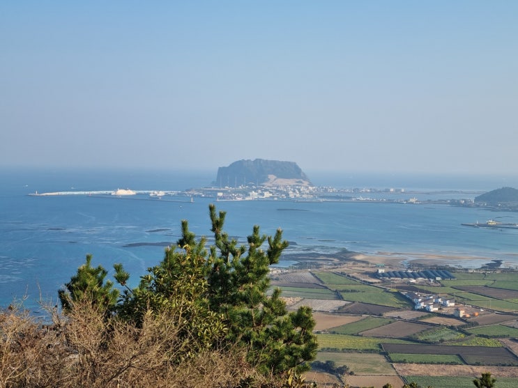 지미 오름에서 성산 일출봉과 우도를 보다. 지미 오름에서 성산 일출봉과 우도를 보다.