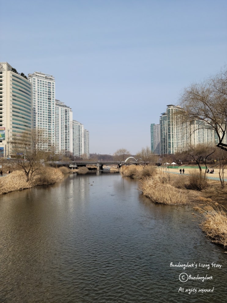  [일상] 우리 동네 | 산책 코스 | 봄이 오는 소리가 들리는 분당